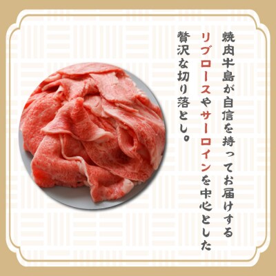 【定期便12ヶ月】淡路牛 贅沢切り落とし 1kg (250g×4PC)　ay08004