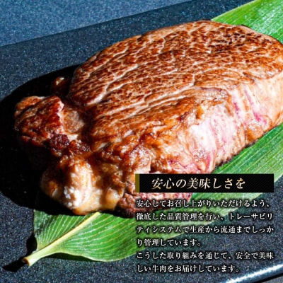 淡路牛 ヒレ(ステーキ用) 800g　ap01856