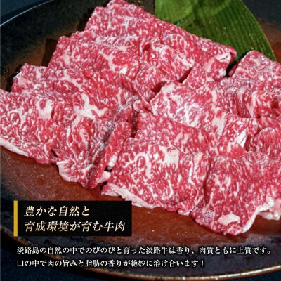 淡路牛 ロース(しゃぶしゃぶ用) 1kg　ap01059