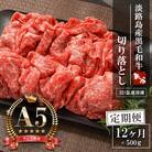 【定期便12ヶ月】【A5ランク限定】淡路島産黒毛和牛 切り落とし 500g　aa16033