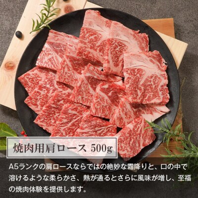 【定期便6ヶ月】【A5ランク限定】淡路島産黒毛和牛 贅沢定期便【神戸ビーフ】　aa16035