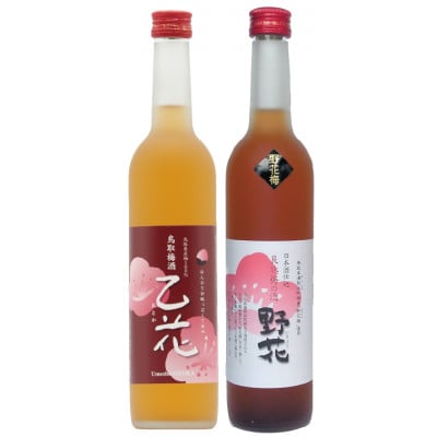 鳥取県の美味しい酒 梅酒 2本セットB　A24-050
