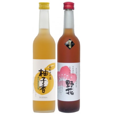 鳥取県の美味しい酒 梅酒・ゆず酒 2本セット　A24-051
