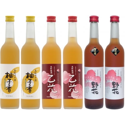 鳥取県の美味しい酒 梅酒・ゆず酒 6本セット　C24-016