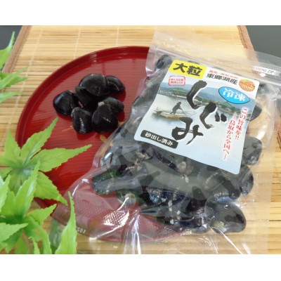 鳥取県　東郷湖　冷凍しじみ　大粒2kg