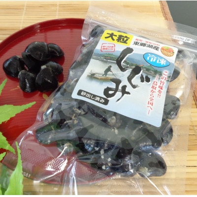 鳥取県　東郷湖　冷凍しじみ　大粒4.5kg