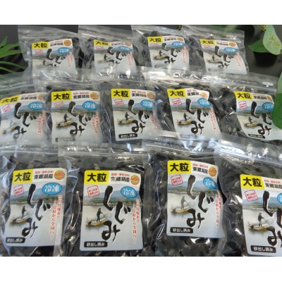 鳥取県　東郷湖　冷凍しじみ　大粒6.5kg