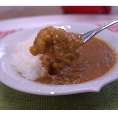 カレー県鳥取の完熟とまとたっぷりレトルトカレー2種6個セット