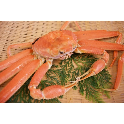茹で　松葉かに　タグ付き大サイズ(約700g×2尾)