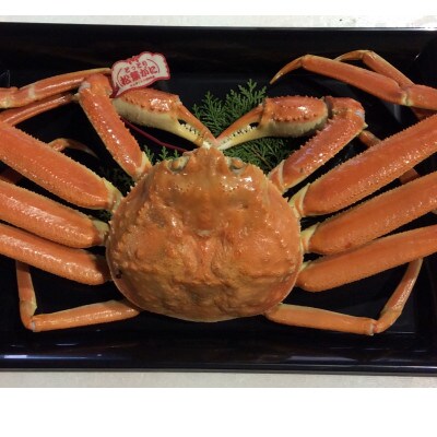 【魚倉】タグ付きボイル松葉ガニ　1枚約950g(ボイル前)