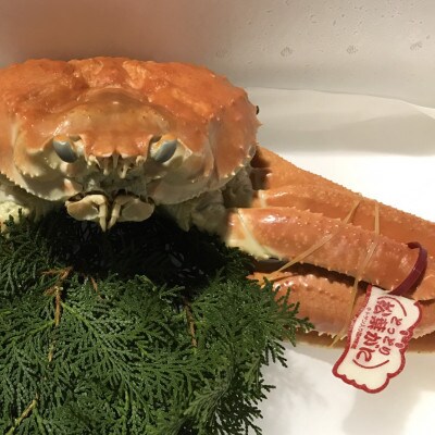 【魚倉】タグ付きボイル松葉ガニ　1枚約950g(ボイル前)