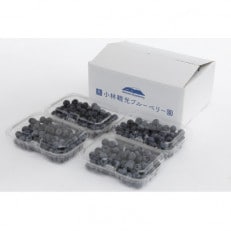 だいせんのめぐみ摘みたてブルーベリー　250g×4パック | ふるさと納税のお礼品