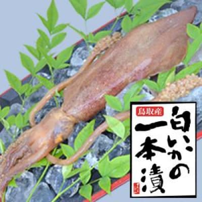 白いか1本漬とほたるいか醤油漬セット【数量限定】