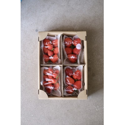 【希少品種・鳥取県限定ブランド】とっておき苺(約200g×4パック)