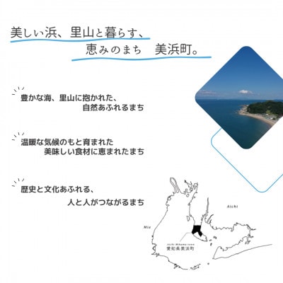 【返礼品なし】愛知県 美浜町 への 応援寄附 寄附のみ 返礼品なし 1口 1,000円から