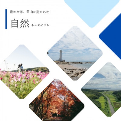 【返礼品なし】愛知県 美浜町 への 応援寄附 寄附のみ 返礼品なし 1口 1,000円から