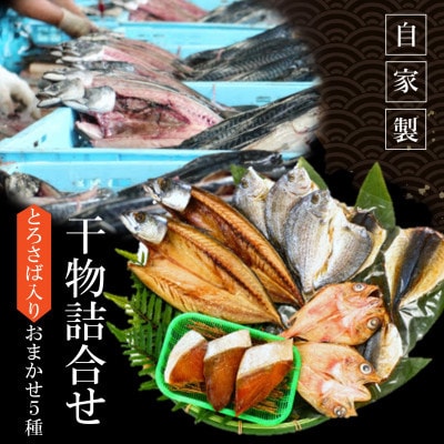 【南知多町・美浜町共通返礼品】魚太郎名物【とろさば】入り・自家製ひもの5種おまかせセット