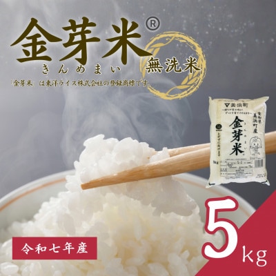 【 金芽米 】愛知県 美浜町産 にじのきらめき 5kg 無洗米