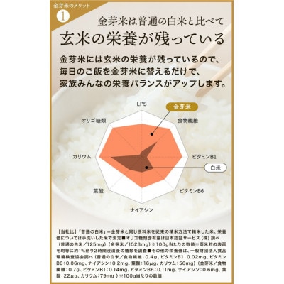 【 金芽米 】愛知県 美浜町産 にじのきらめき 5kg 無洗米