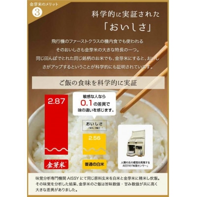 【 金芽米 】愛知県 美浜町産 にじのきらめき 5kg 無洗米