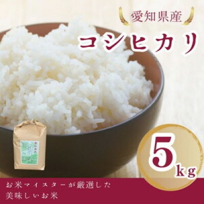 愛知県産 コシヒカリ 5kg 愛知県 美浜町