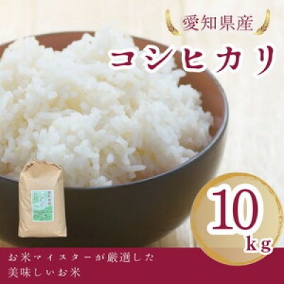 愛知県産 コシヒカリ 10kg 愛知県 美浜町