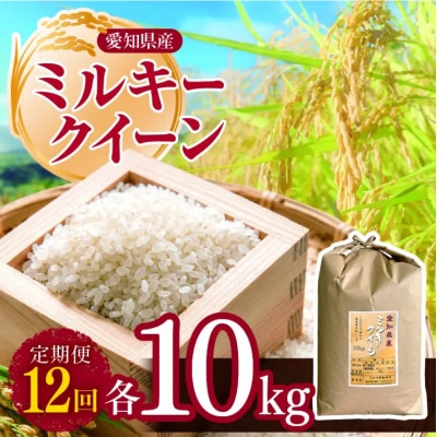【毎月定期便】愛知県産 ミルキークイーン 10kg全12回