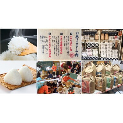 【毎月定期便】愛知県産 ミルキークイーン 10kg全3回