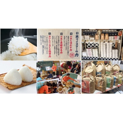 【毎月定期便】愛知県産 ミルキークイーン 5kg全3回