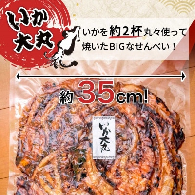 BIGなイカの鉄板焼きとえびせんべい13袋の詰合せ 光栄堂 バラエティパック 人気13種