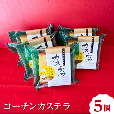 コーチンカステラ 5個