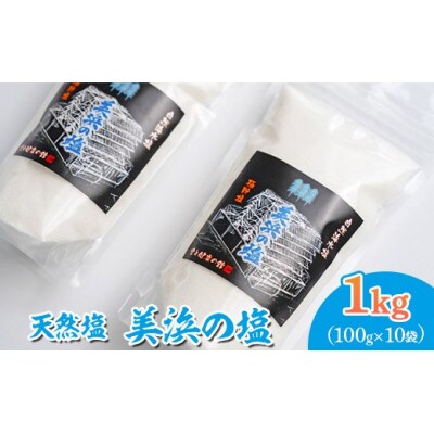 美浜の塩 1kg (100g×10袋)