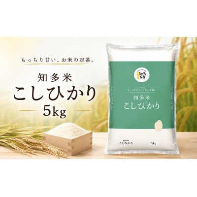 知多米こしひかり(精米)5kg