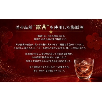 知多露茜720ml×1本　梅酒　愛知県美浜町　中埜酒造