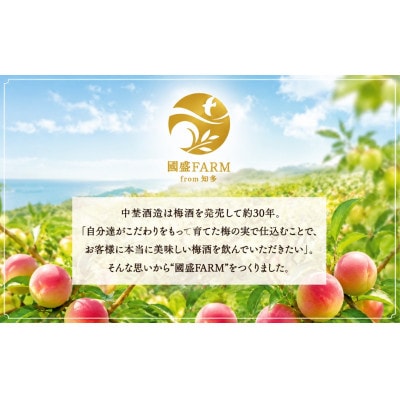 知多露茜720ml×1本　梅酒　愛知県美浜町　中埜酒造