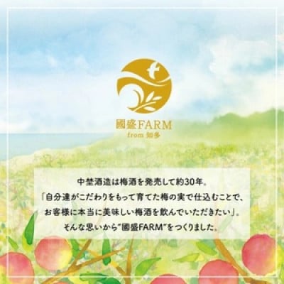 梅シロップ420g×3本　希釈用　中埜酒造