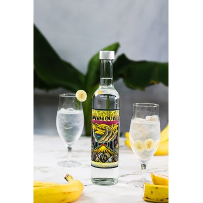 中津ジン 知多バナナ 500ml 1本