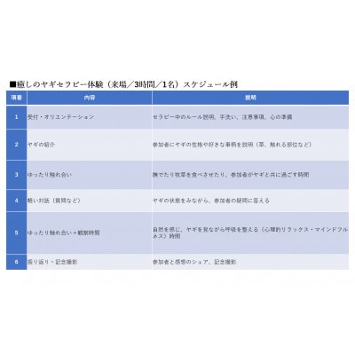 【体験型返礼品】癒しのヤギセラピー体験(来場/3時間/1名)(愛知ヤギ農場)
