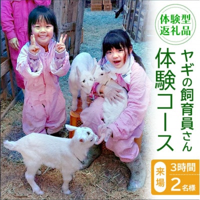 【体験型返礼品】ヤギの飼育員さん体験コース(来場/3時間/2名)(愛知ヤギ農場)