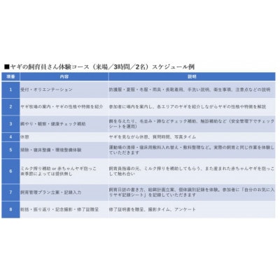 【体験型返礼品】ヤギの飼育員さん体験コース(来場/3時間/2名)(愛知ヤギ農場)