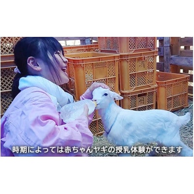【体験型返礼品】ヤギの飼育員さん体験コース(来場/3時間/2名)(愛知ヤギ農場)