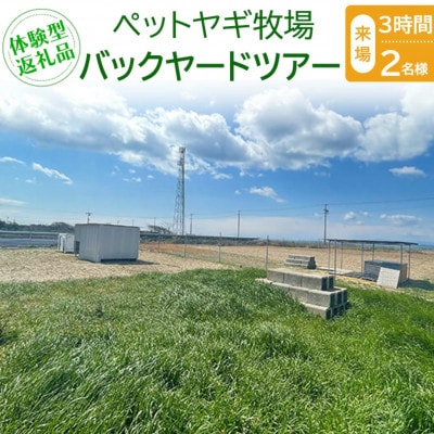 【体験型返礼品】ペットヤギ牧場バックヤードツアー(来場/3時間/2名)(愛知ヤギ農場)