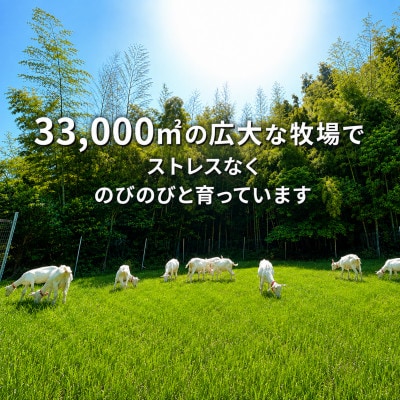 国産グラスフェッド【人間・ペット兼用】粉末ヤギミルク160g×1袋　フリーズドライ加工　愛知ヤギ農場