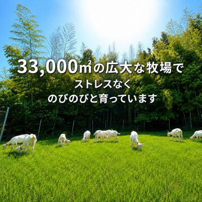 国産グラスフェッド【人間・ペット兼用】粉末ヤギミルク10g×1袋　フリーズドライ加工　愛知ヤギ農場