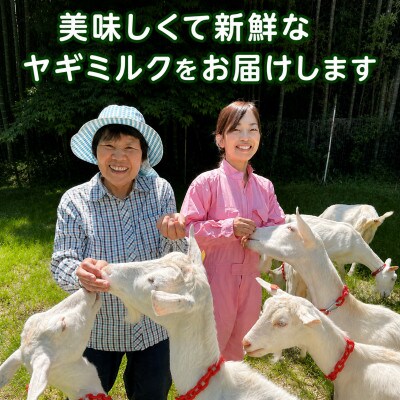 国産グラスフェッド【人間・ペット兼用】粉末ヤギミルク10g×1袋　フリーズドライ加工　愛知ヤギ農場