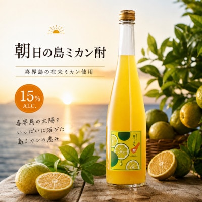 【リキュール】朝日の島ミカン酎 15度 500ml×1本