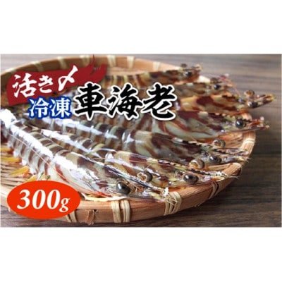 活き〆冷凍車海老 300g