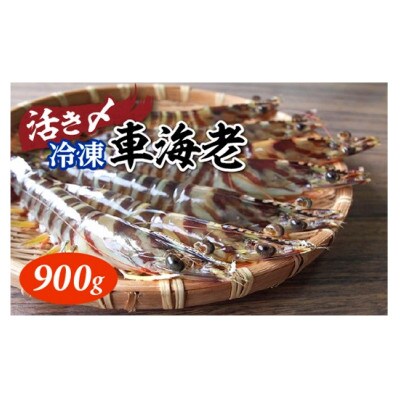 活き〆冷凍車海老 900g