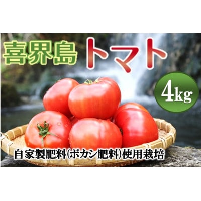 『喜界島トマト』自家製肥料(ボカシ肥料)使用栽培　4kg
