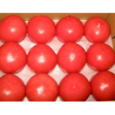 『喜界島トマト』自家製肥料(ボカシ肥料)使用栽培　4kg